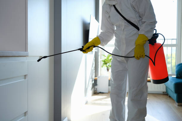 Best Professional Mold Removal  in Orcdlands Estates, HI