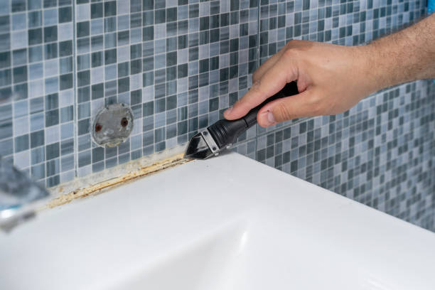 Best Mold Testing  in Orcdlands Estates, HI