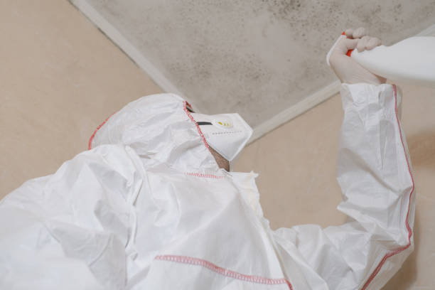Best Mold Damage Repair  in Orcdlands Estates, HI