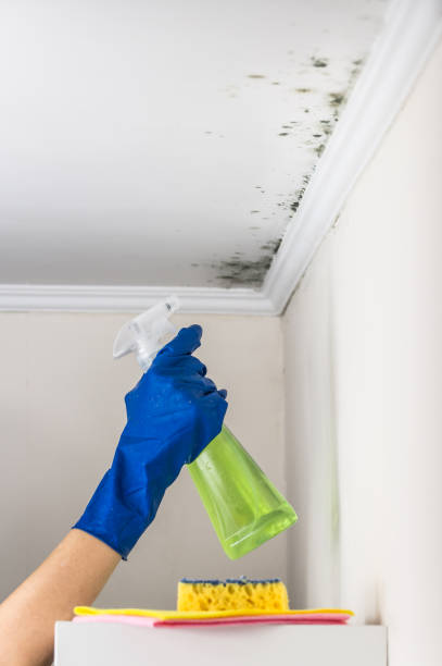 Best Mold Testing  in Orcdlands Estates, HI